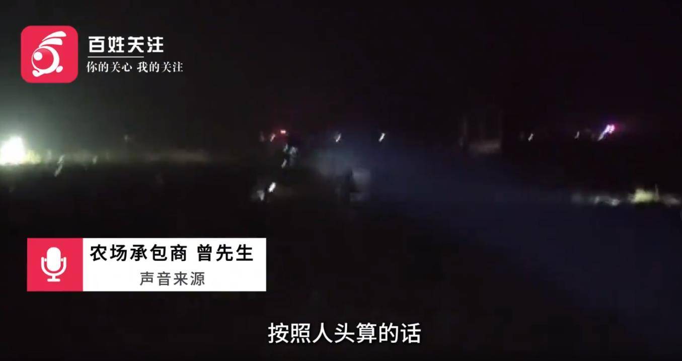 安徽一地数百名村民哄抢未收土豆连续四天，事情为何会失控？
