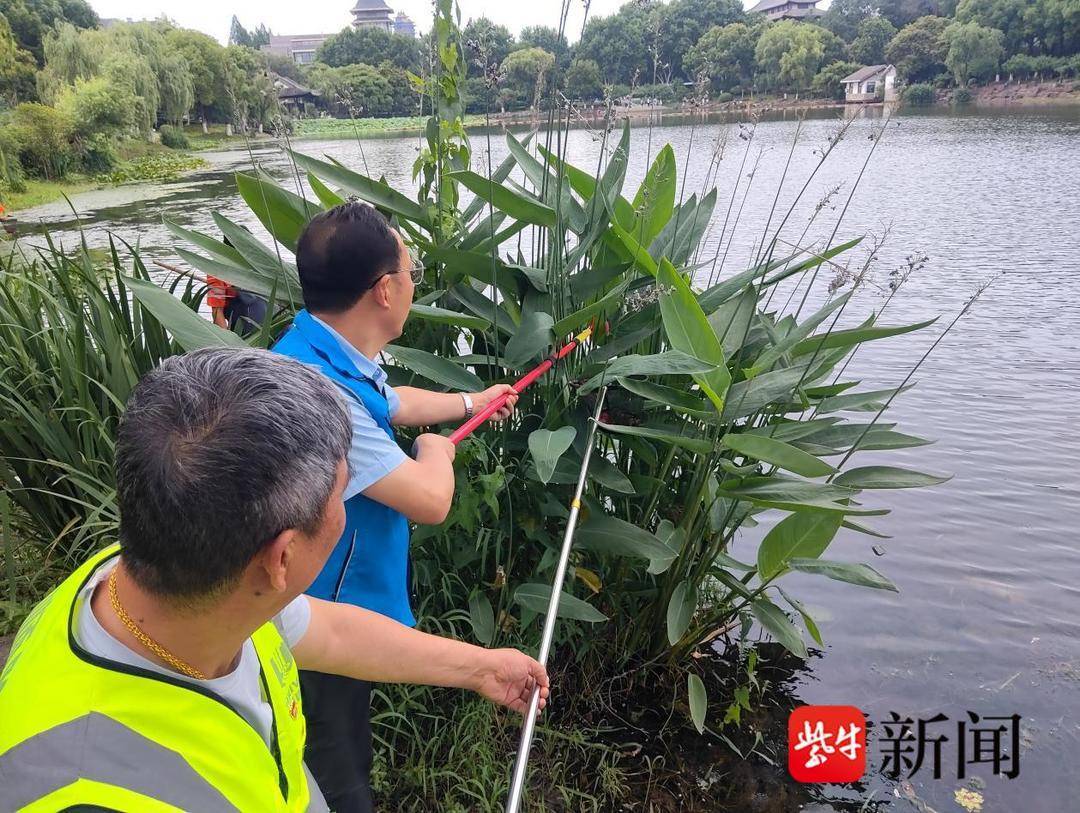 组图｜水陆联动清剿“生态杀手”