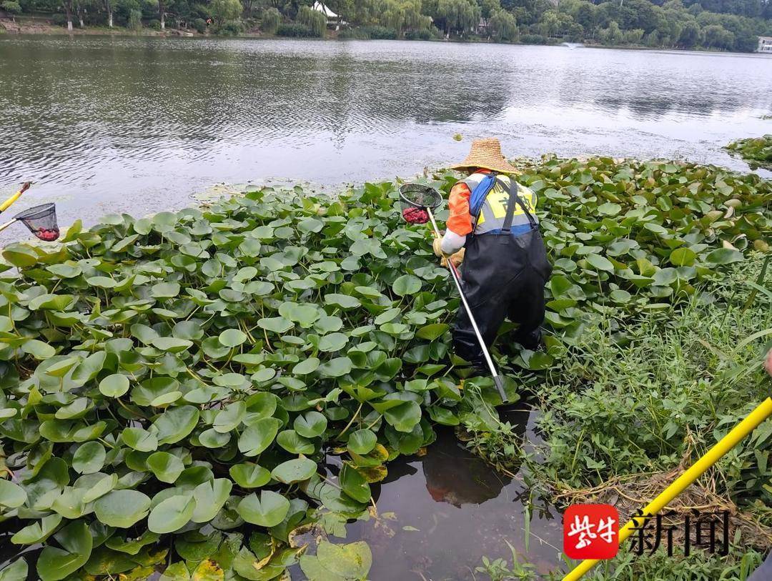 组图｜水陆联动清剿“生态杀手”