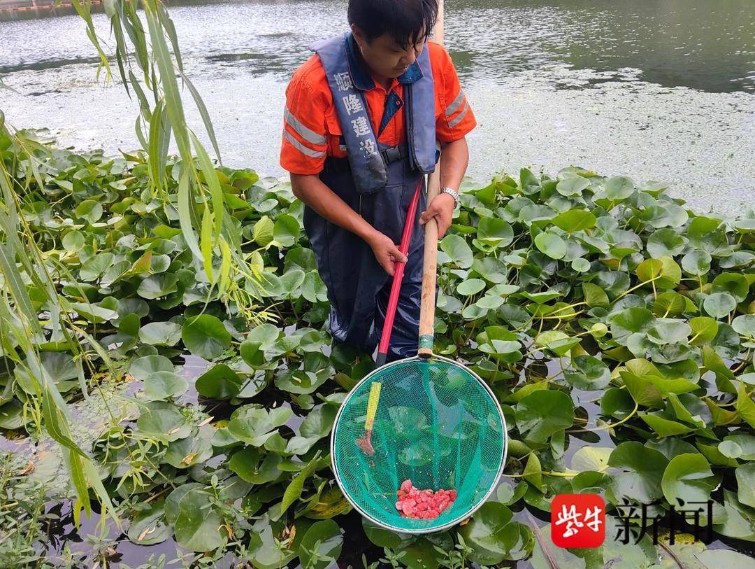 组图｜水陆联动清剿“生态杀手”