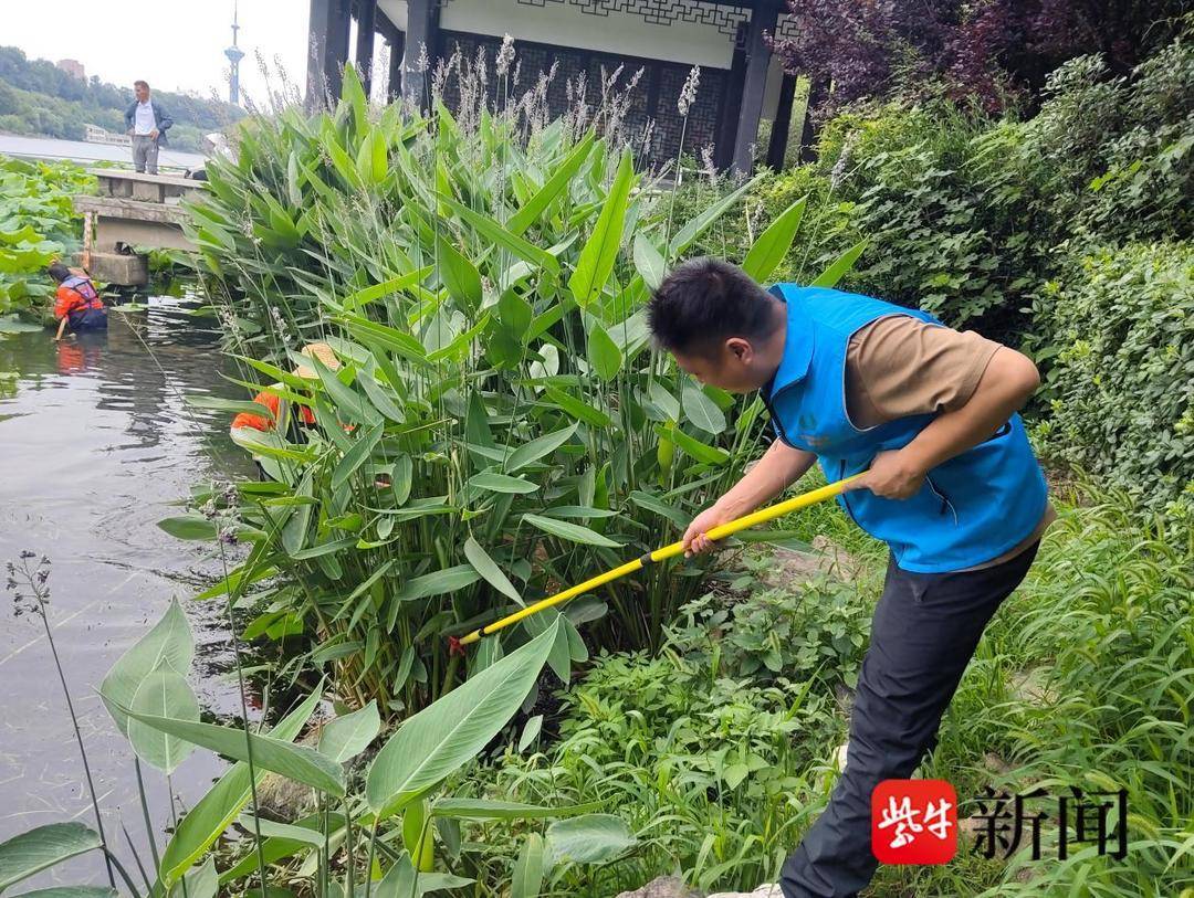 组图｜水陆联动清剿“生态杀手”