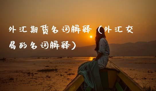 外汇的名词(外汇专业名词)