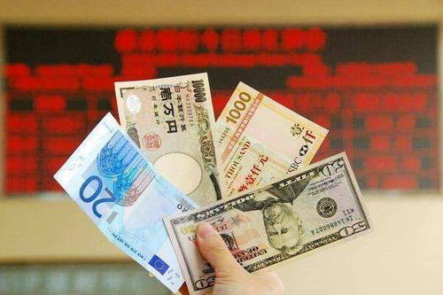 怎么兑外汇(外汇在哪儿兑换)