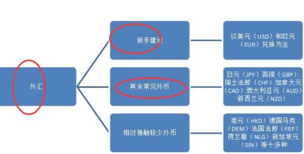 杠杆外汇银行(外汇中的杠杆原理)