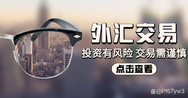 个人买卖外汇(个人买卖外汇 非法经营罪)