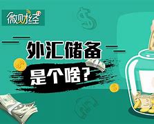 什么是外汇管制(什么是外汇管制?)