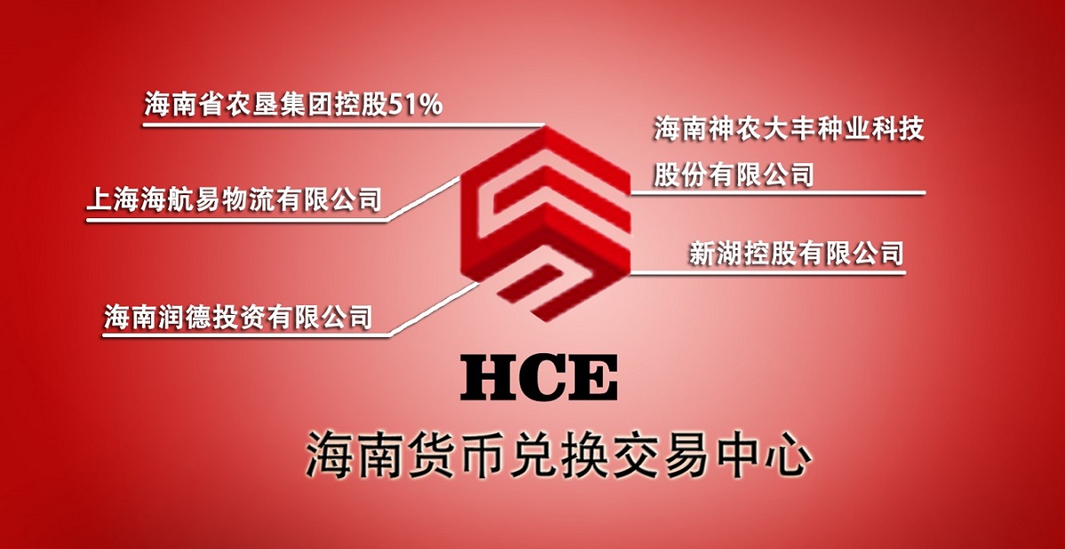外汇代理网(代理交易平台外汇)