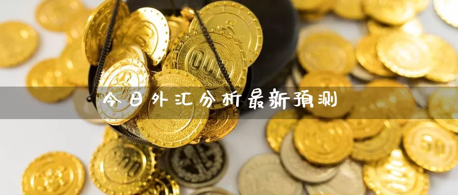 抛外汇(抛外汇储备稳定汇率)