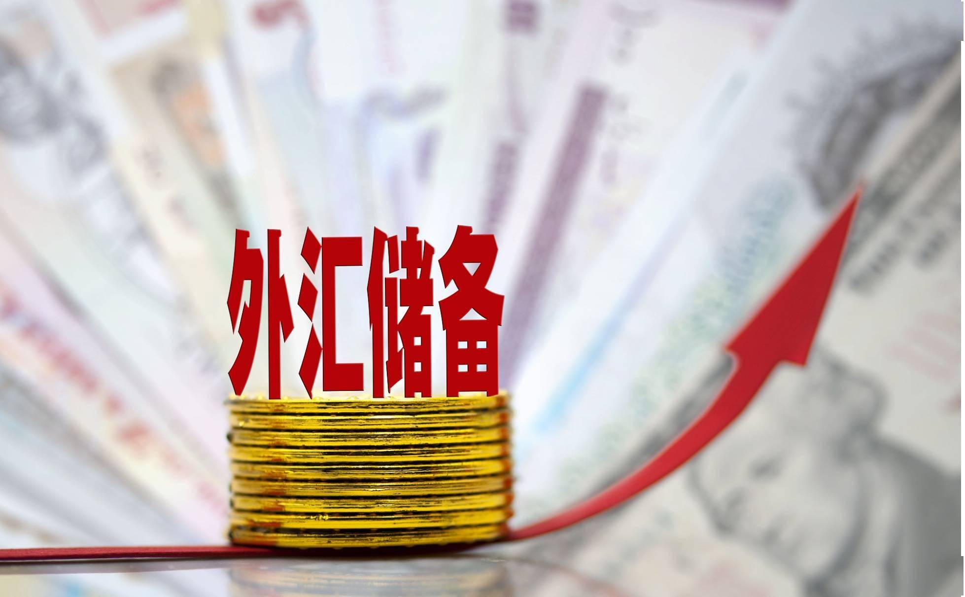 外汇供求(外汇供求的主要中介人为)