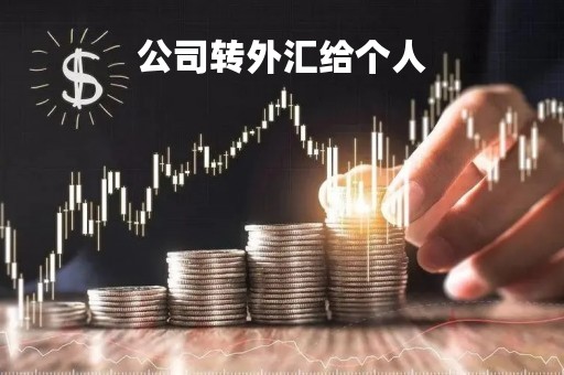 外汇付款(外汇付款方式有几种)