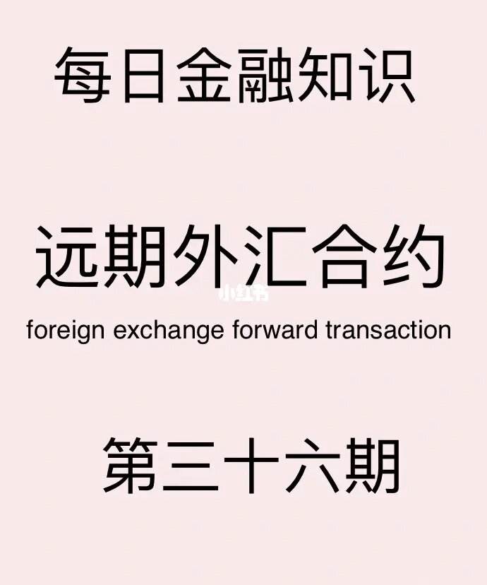 什么是外汇合约(外汇标准合约是多少)