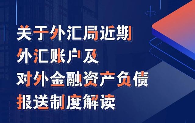 外汇资产过剩(外汇资产过剩是什么意思呀)