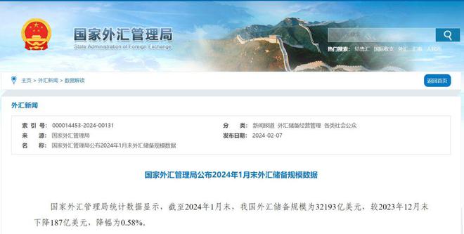 外汇资产过剩(外汇资产过剩是什么意思呀)