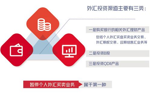 外汇期权银行(外汇期权 银行)