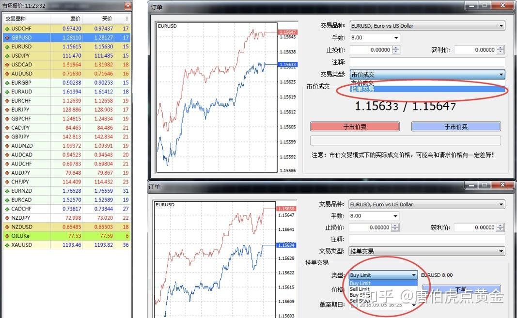 看外汇软件(外汇软件排行榜前十名)
