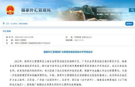 国家外汇申报平台(国家外汇申报平台官网)