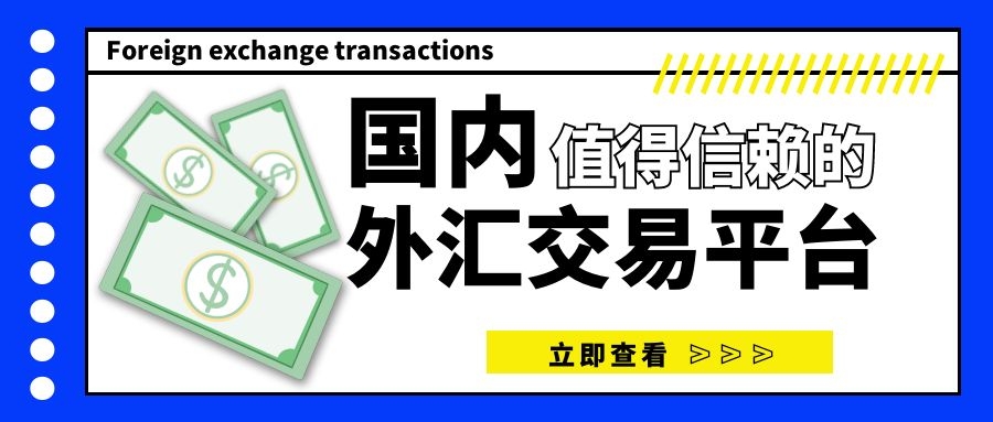 国内的外汇交易平台(国内的外汇交易平台排名)