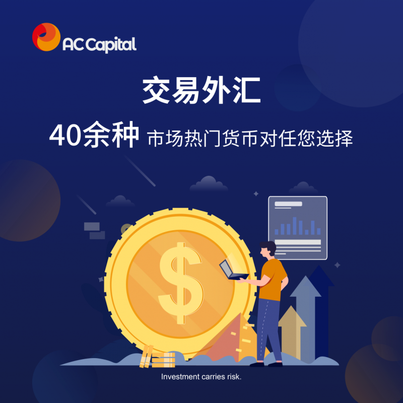 专业外汇平台(专业外汇入门在线教育)