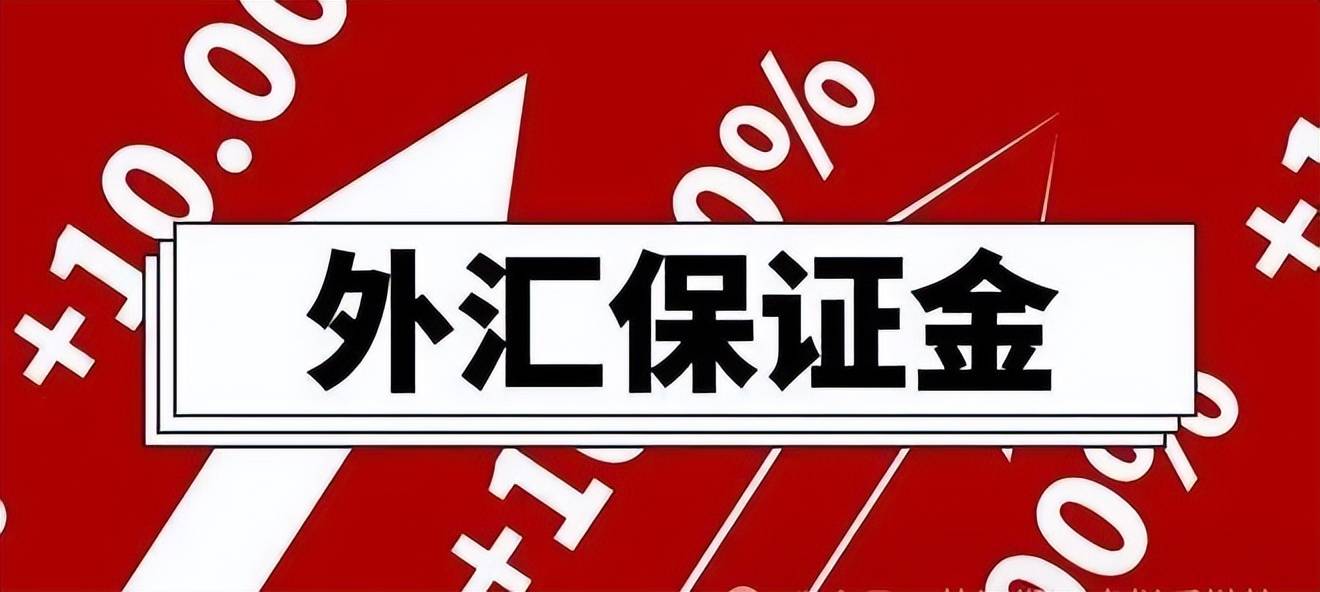 做市商外汇(外汇做市商制度)