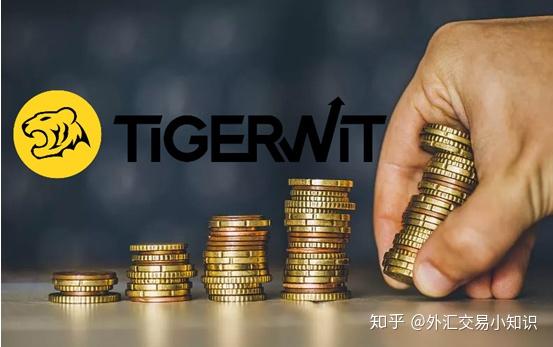 怎么投资外汇(怎么投资外汇赚钱)
