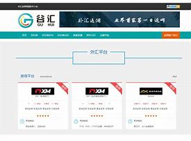 外汇怎么代理(外汇代理是做什么的)