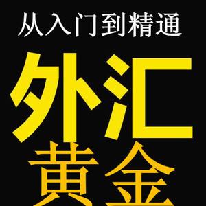炒黄金外汇平台(外汇炒黄金怎么赚钱)