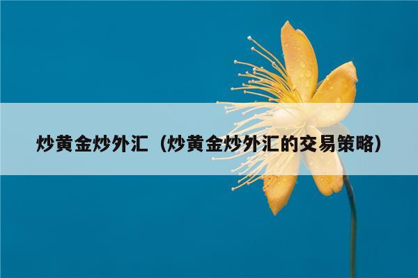 炒黄金外汇平台(外汇炒黄金怎么赚钱)