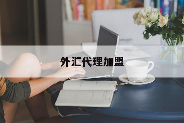 外汇代理加盟(外汇代理加盟条件)
